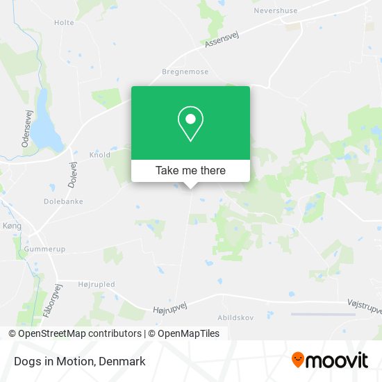 Dogs in Motion map