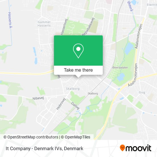 It Company - Denmark IVs map