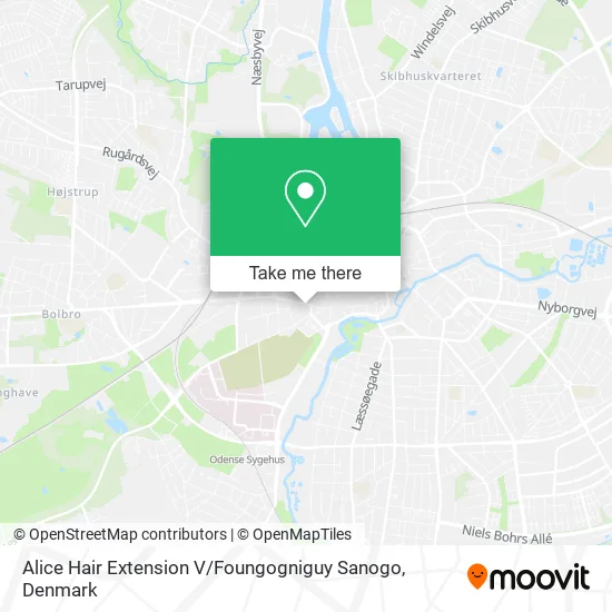 Alice Hair Extension V / Foungogniguy Sanogo map