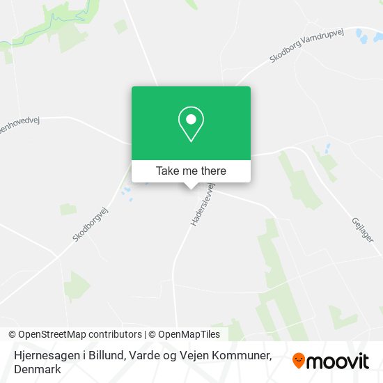 Hjernesagen i Billund, Varde og Vejen Kommuner map