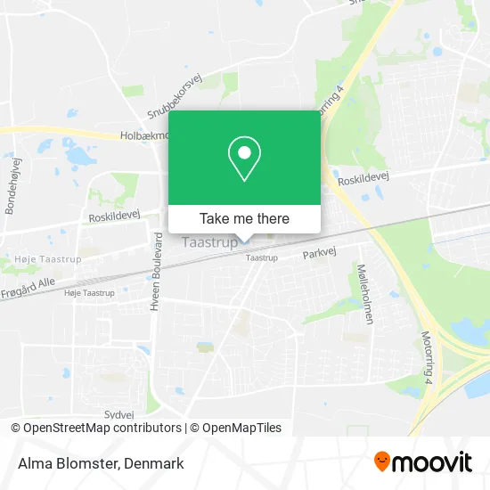 Alma Blomster map