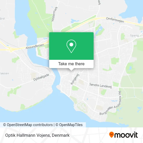 Optik Hallmann Vojens map