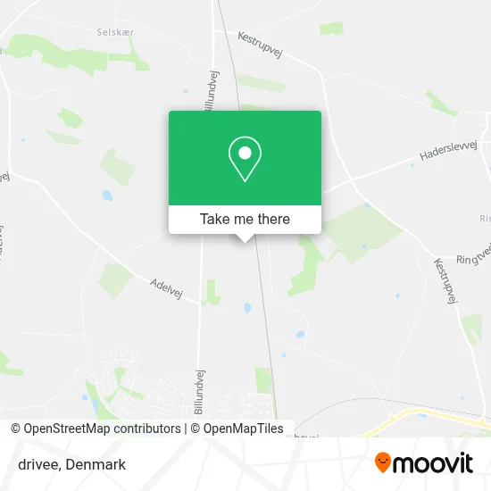 drivee map
