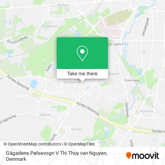 Gågadens Pølsevogn V Thi Thuy van Nguyen map