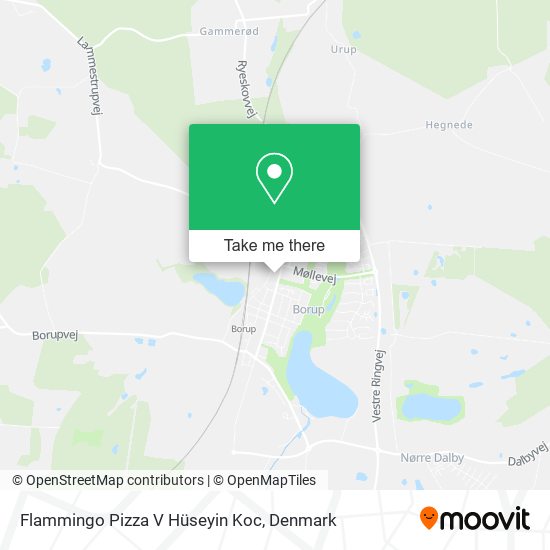 Flammingo Pizza V Hüseyin Koc map