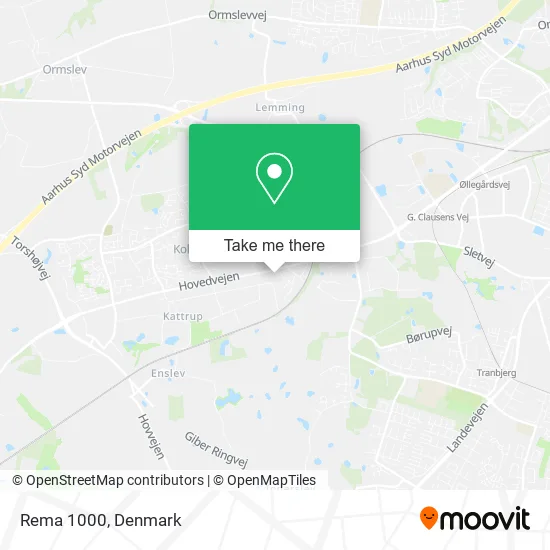 Rema 1000 map
