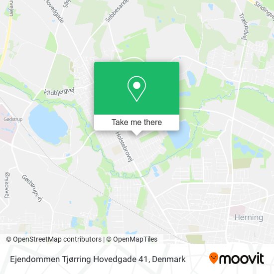 Ejendommen Tjørring Hovedgade 41 map