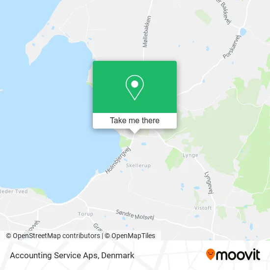 Accounting Service Aps map