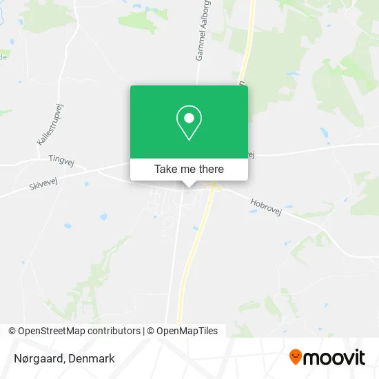 Nørgaard map