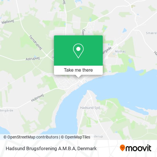 Hadsund Brugsforening A.M.B.A map