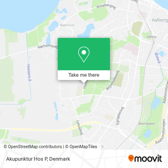 Akupunktur Hos P map