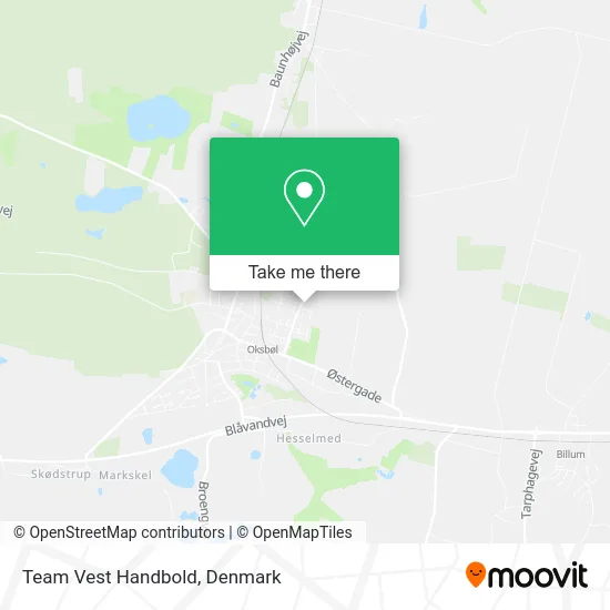 Team Vest Handbold map