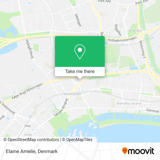 Elaine Amelie map