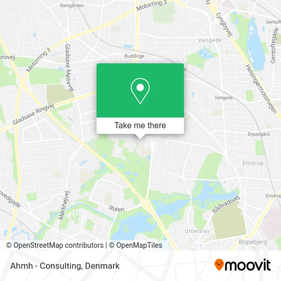 Ahmh - Consulting map