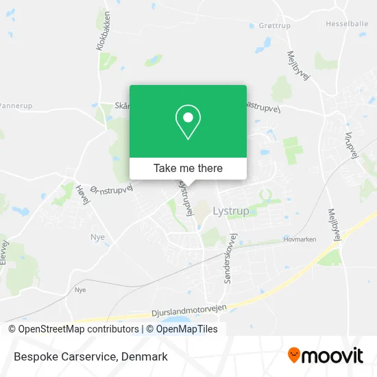 Bespoke Carservice map