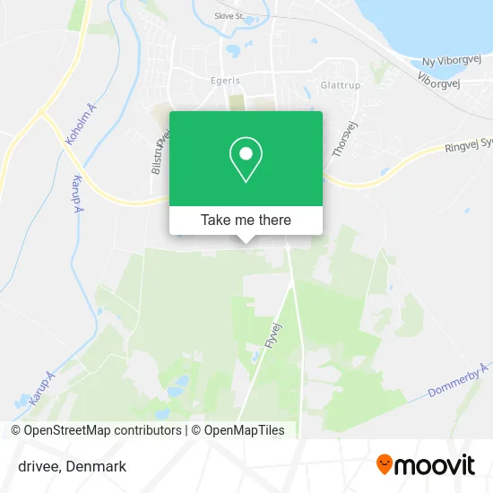 drivee map