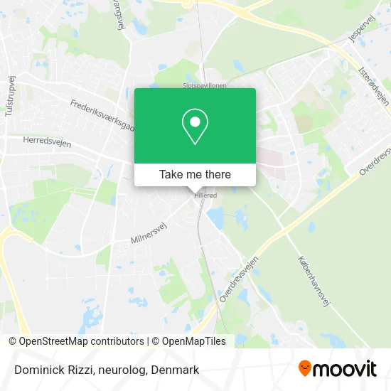 Dominick Rizzi, neurolog map