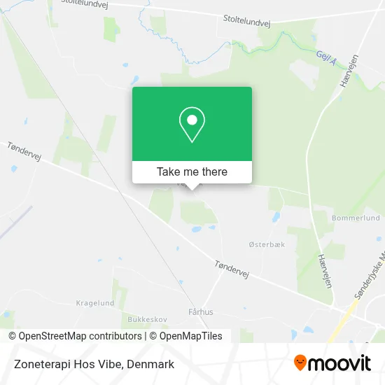 Zoneterapi Hos Vibe map
