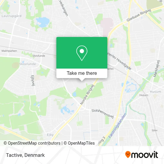 Tactive map