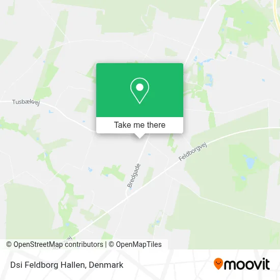 Dsi Feldborg Hallen map