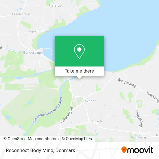 Reconnect Body Mind map