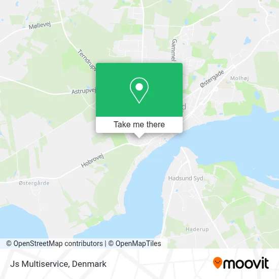 Js Multiservice map