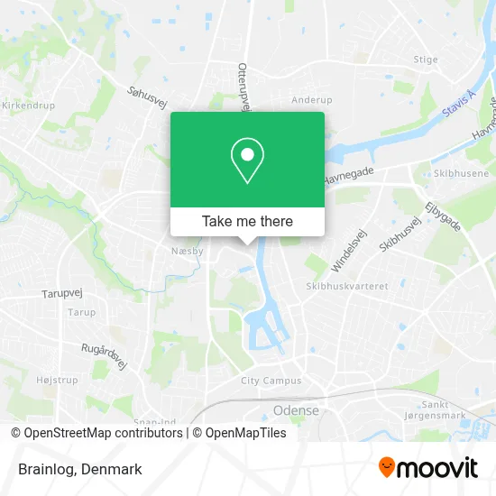Brainlog map