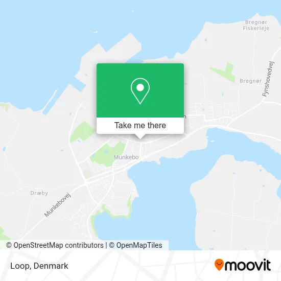 Loop map