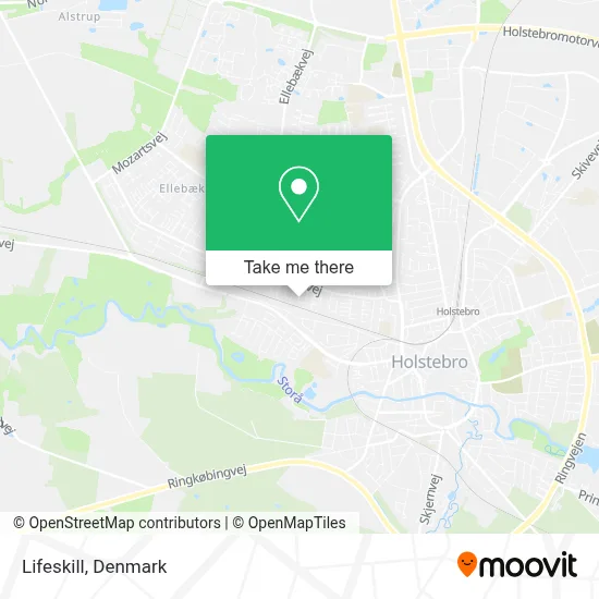 Lifeskill map