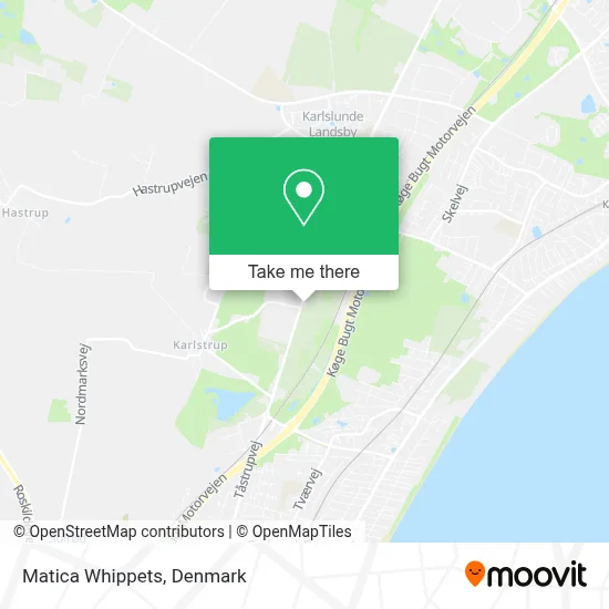 Matica Whippets map