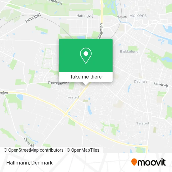 Hallmann map