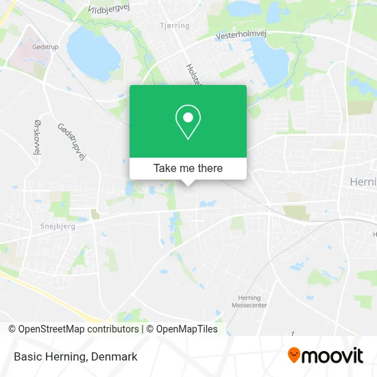 Basic Herning map
