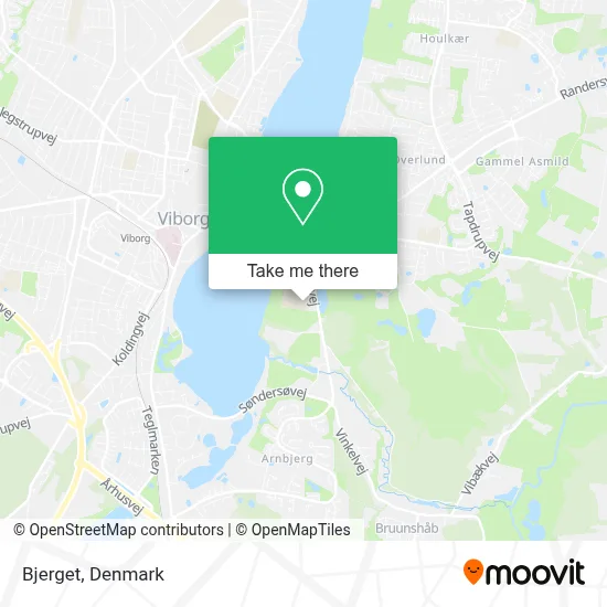Bjerget map