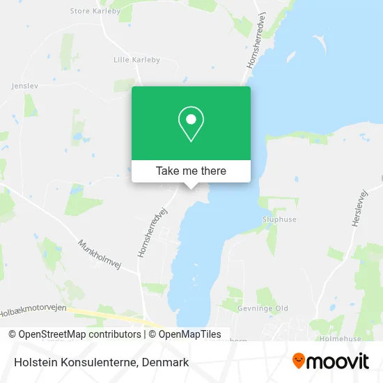 Holstein Konsulenterne map