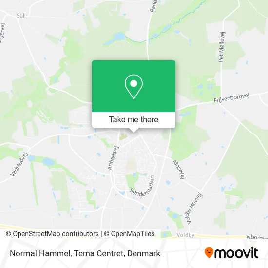 Normal Hammel, Tema Centret map