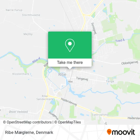 Ribe Mæglerne map