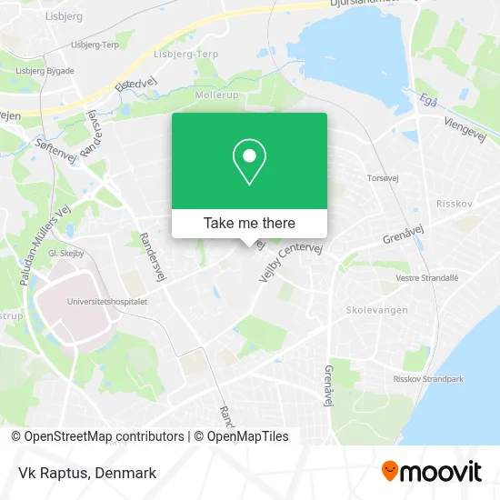 Vk Raptus map