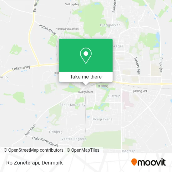 Ro Zoneterapi map