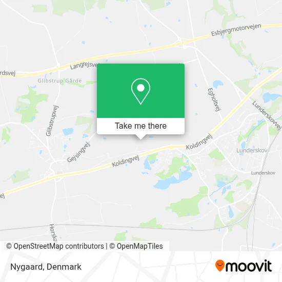 Nygaard map