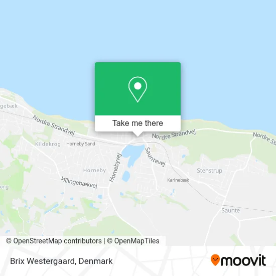 Brix Westergaard map