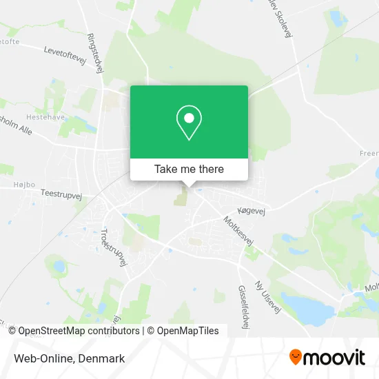 Web-Online map