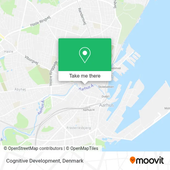 Cognitive Development map