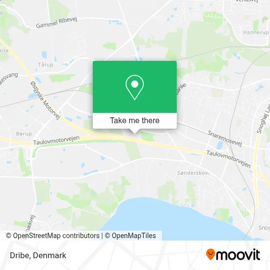 Dribe map