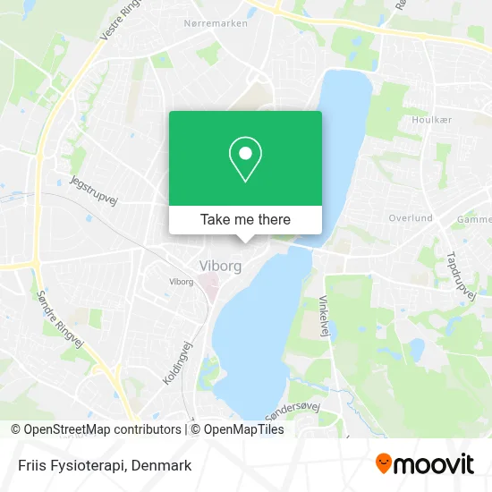Friis Fysioterapi map