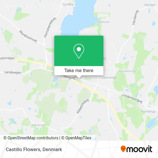 Castillo Flowers map