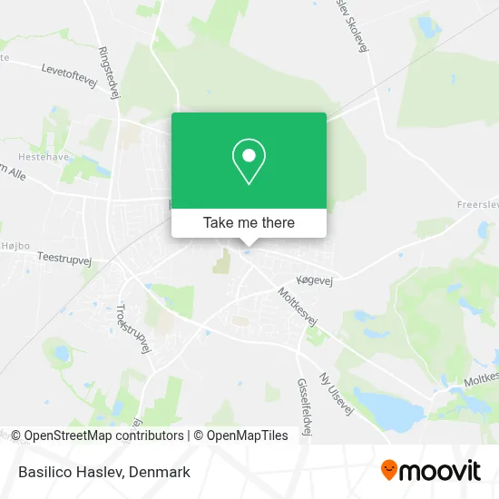 Basilico Haslev map