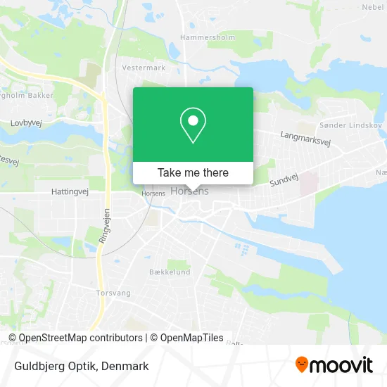 Guldbjerg Optik map