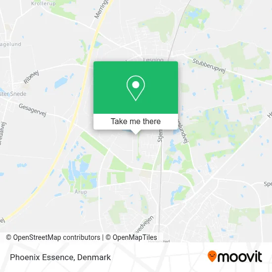 Phoenix Essence map