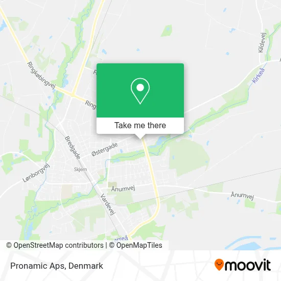Pronamic Aps map
