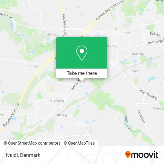 Ivaldi map